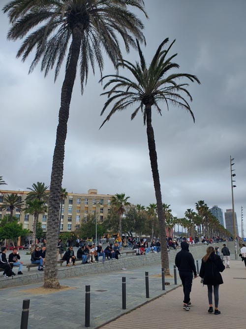 Passeig Marítim de la Barceloneta, Barcelona, Spain, April 27, 2024