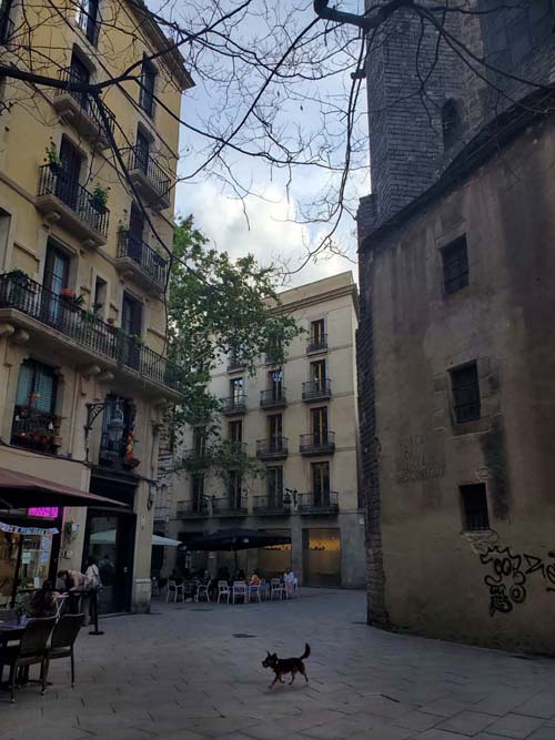 Plaça de Sant Josep Oriol, Barri Gòtic/Gothic Quarter, Barcelona, Spain, April 26, 2024