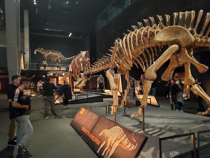 Museu de la Ciència CosmoCaixa, Barcelona, Spain, April 29, 2024