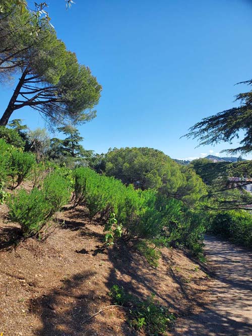 Parc del Turó del Putxet, Barcelona, Spain, April 24, 2024