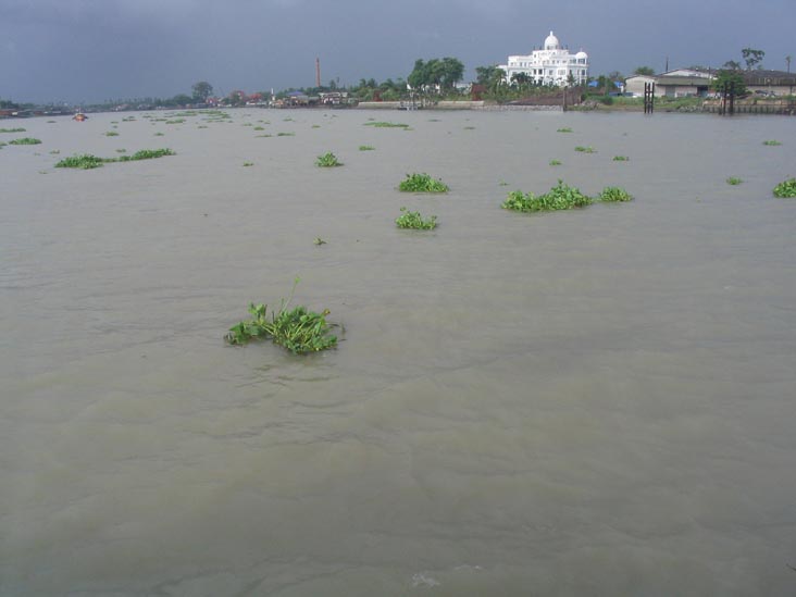 Chao Phraya River Near Wat Bang Na, Thailand