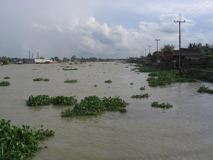 Chao Phraya River Near Wat Bang Na, Thailand