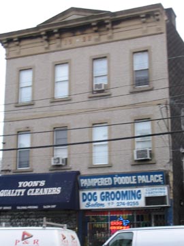 Pampered Poodle Palace, 43-20 Broadway, Astoria, Queens