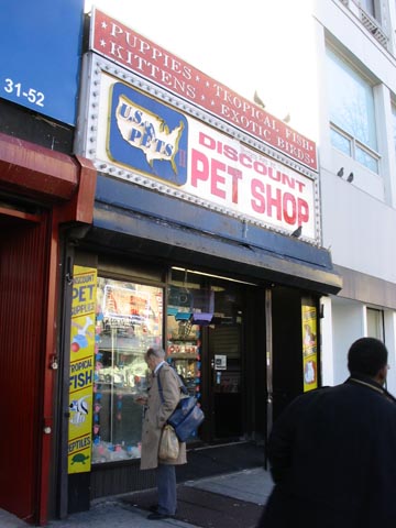 Discount Pet Shop, Steinway Street, Astoria, Queens