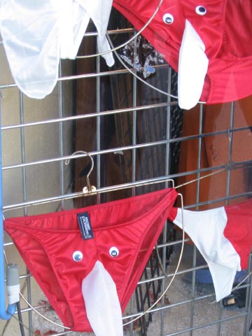 Male Power Underwear, Steinway Street, Astoria, Queens