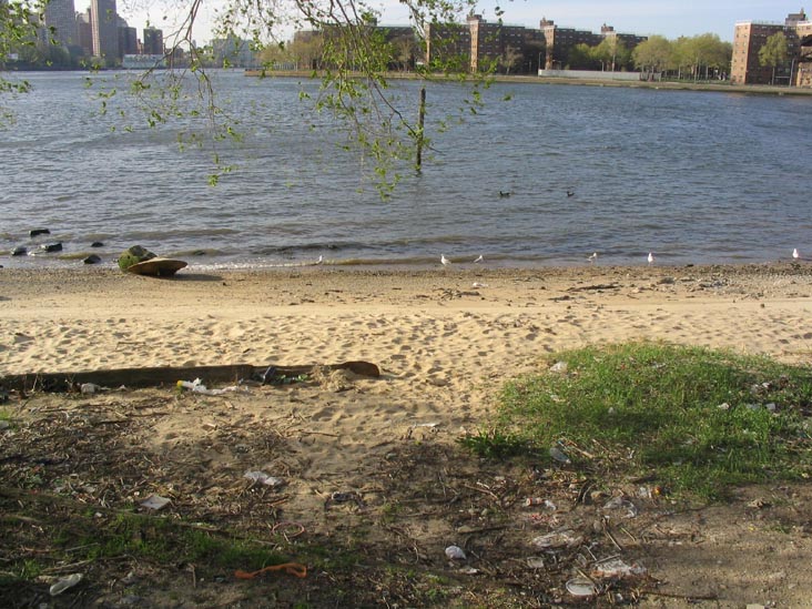 Beach Along East River, Astoria, Queens