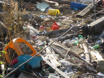 Trash Along the Waterfront, Astoria, Queens