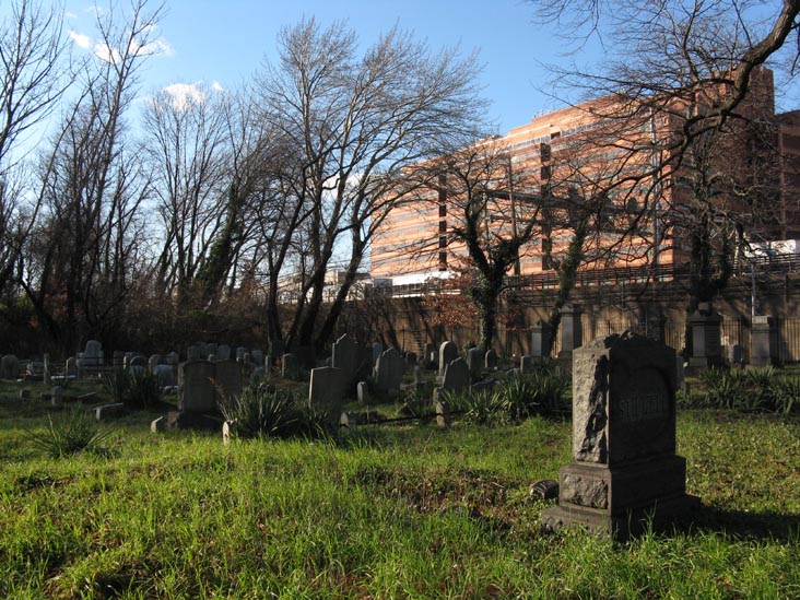 Prospect Cemetery, York College, Jamaica, Queens